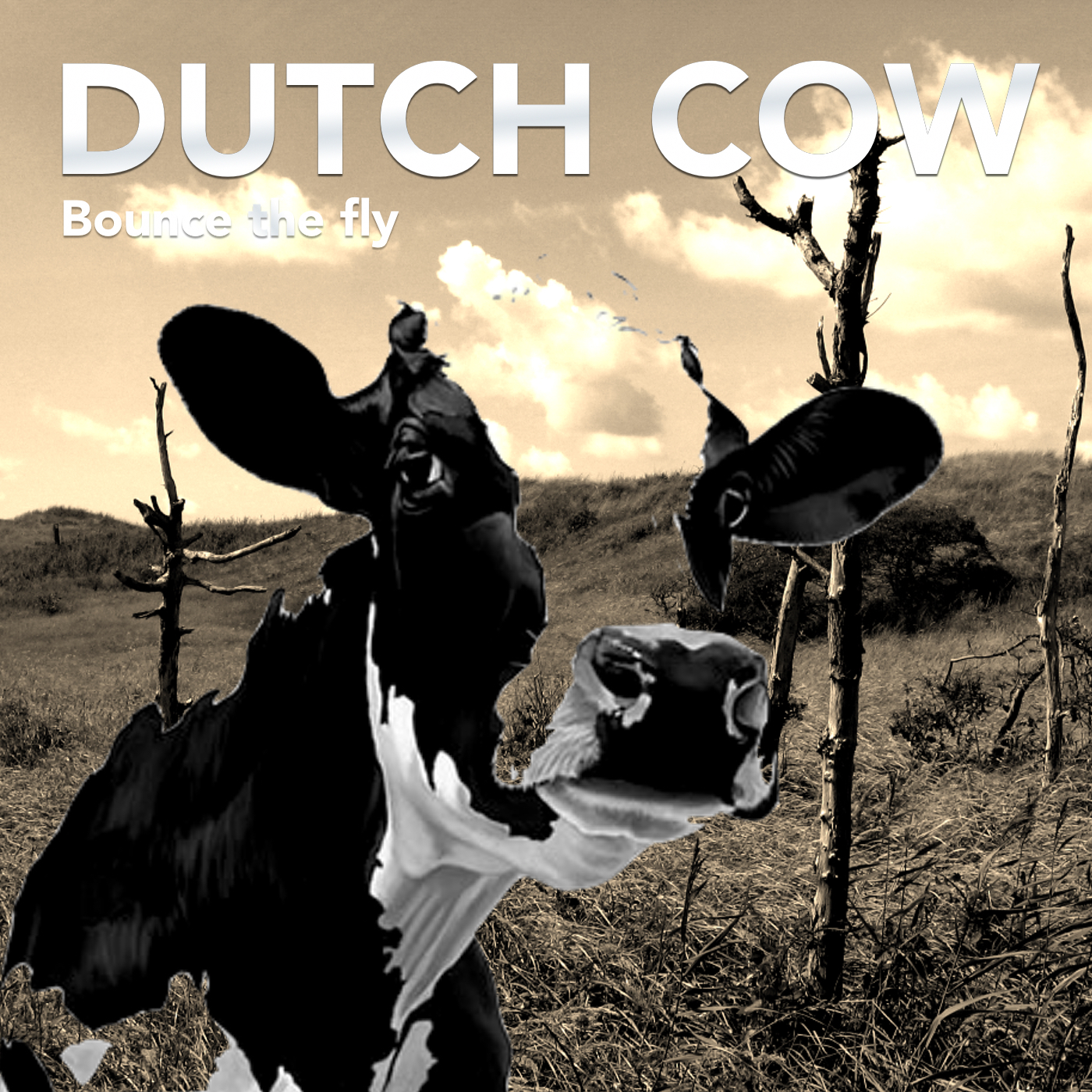 Cover DUTCH COW Bounce the fly