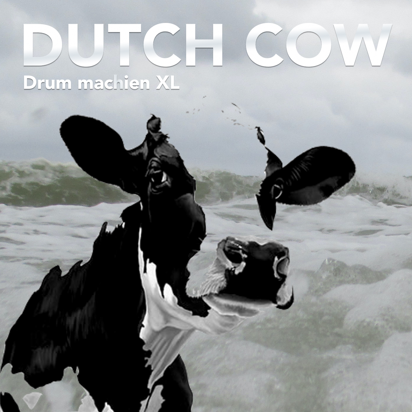 Cover DUTCH COW Drum machien XL