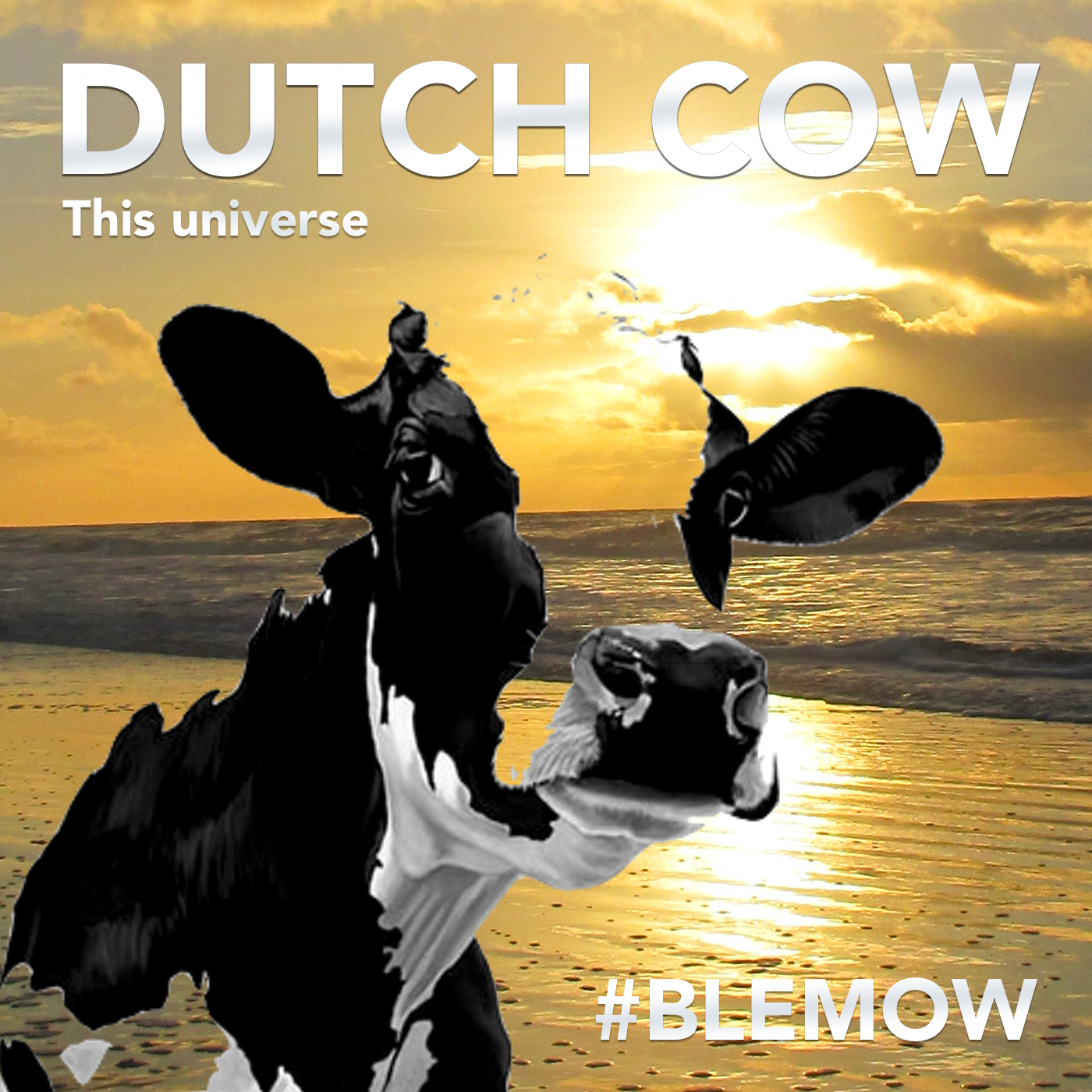 Cover DUTCH COW This universe